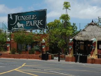 jungle park