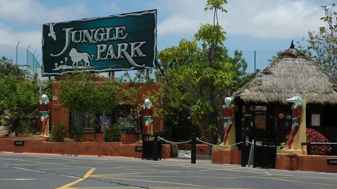 jungle park